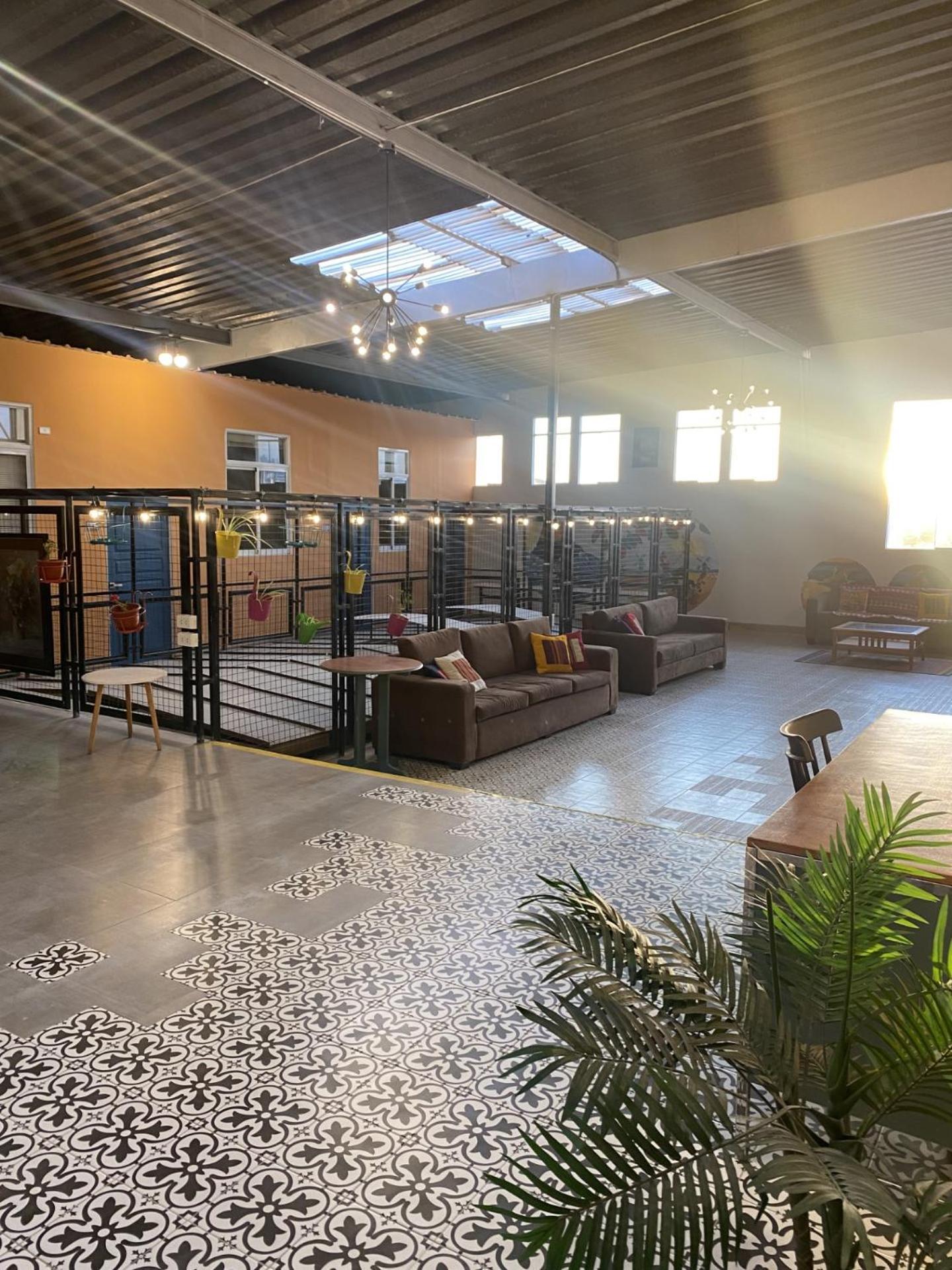 Los Andes Bed & Breakfast Arequipa Dış mekan fotoğraf